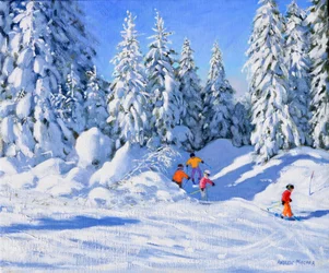 Manhã brilhante e árvores cobertas de neve, Morzine